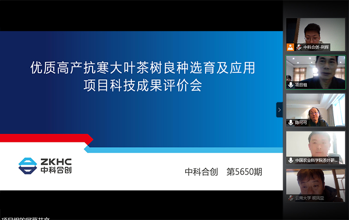 优质高产抗寒大叶茶树良种选育及应用 xiao.jpg